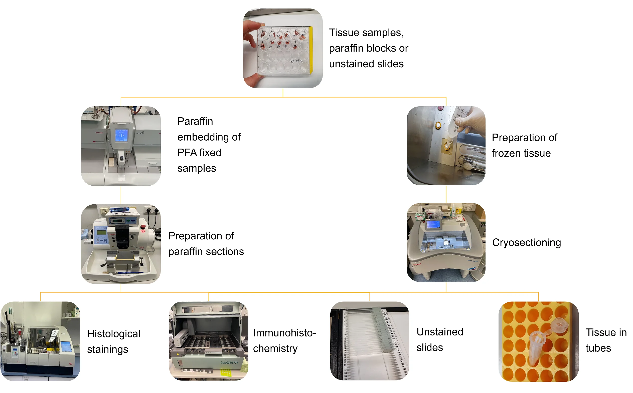 Services Overview