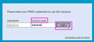 2025-07-02 14_03_11-PPMS-RT-client.jpg