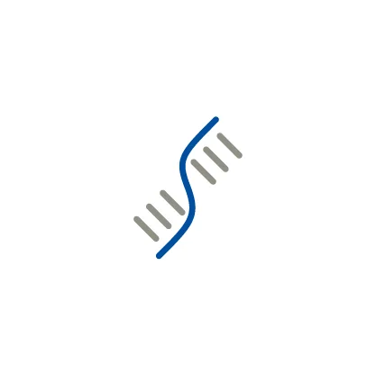 RNA