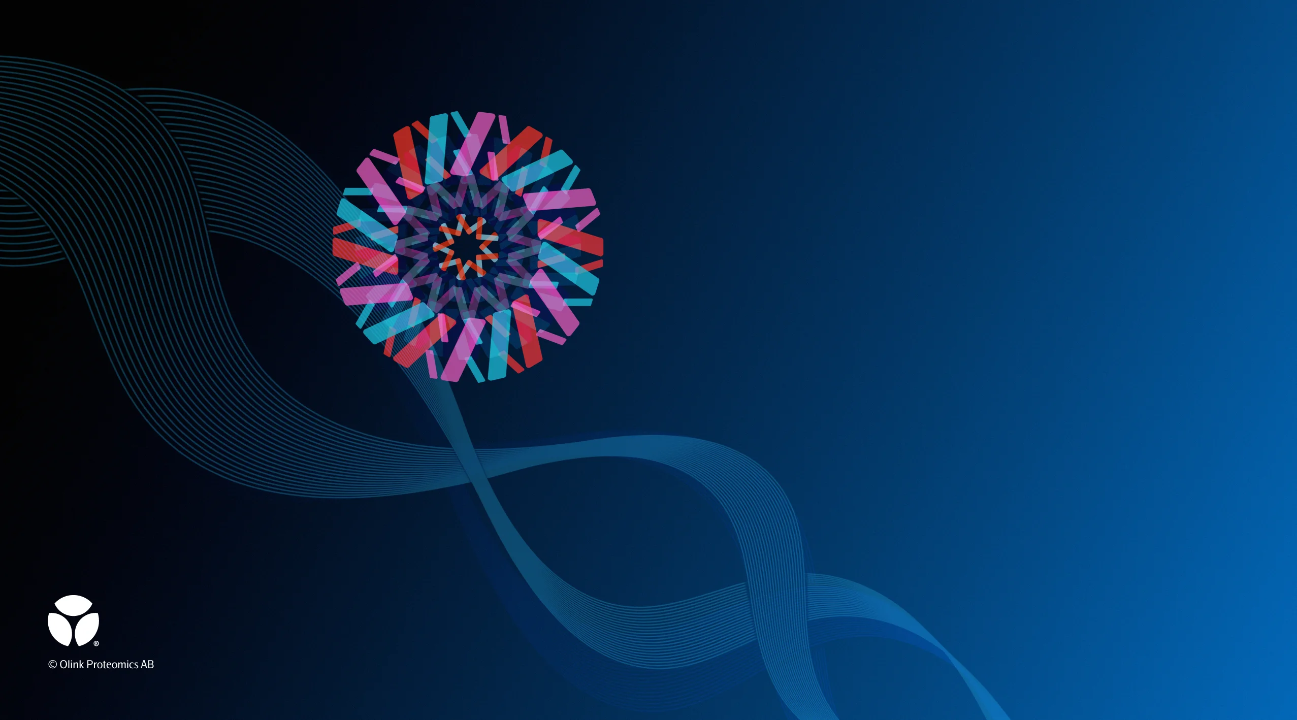 image.webp