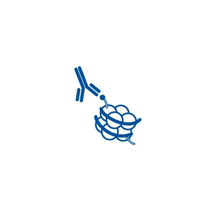 large.webp