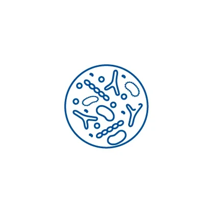 large.webp