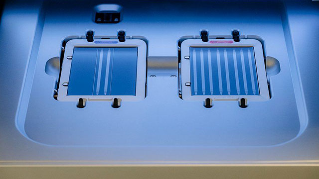 Next Generation Sequencing